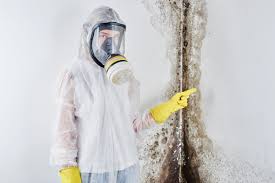 Best Comprehensive Air Testing for Mold Contaminants in Granite Falls, WA